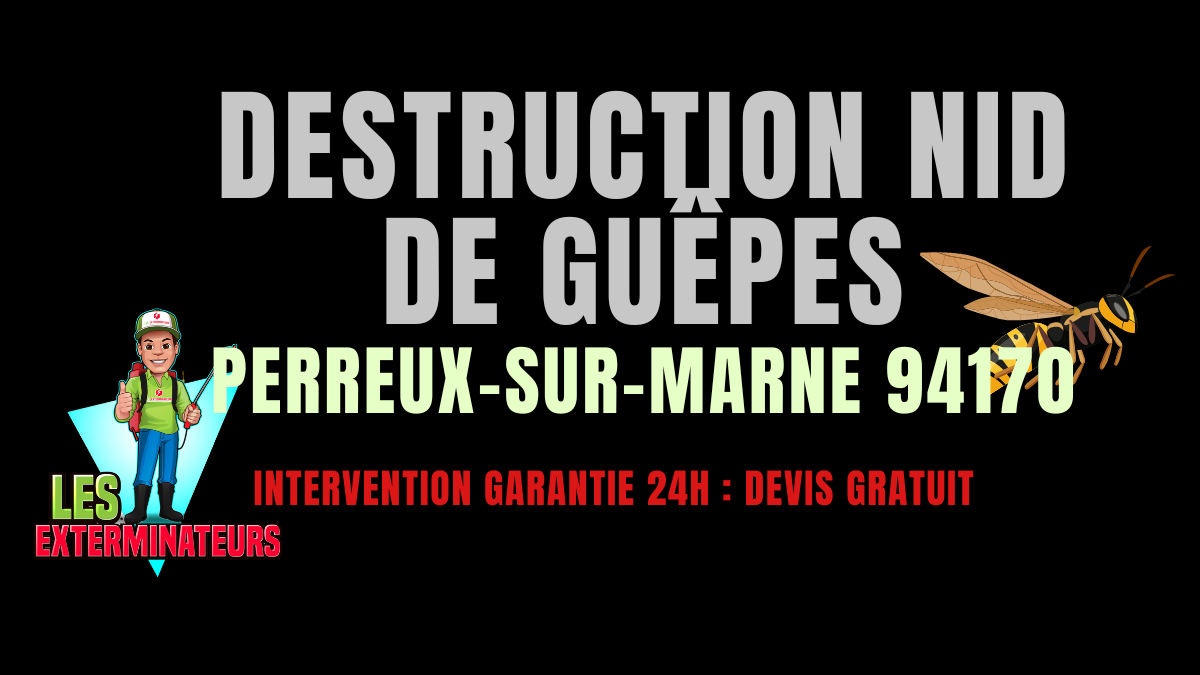 Nid de guêpes Perreux-sur-Marne