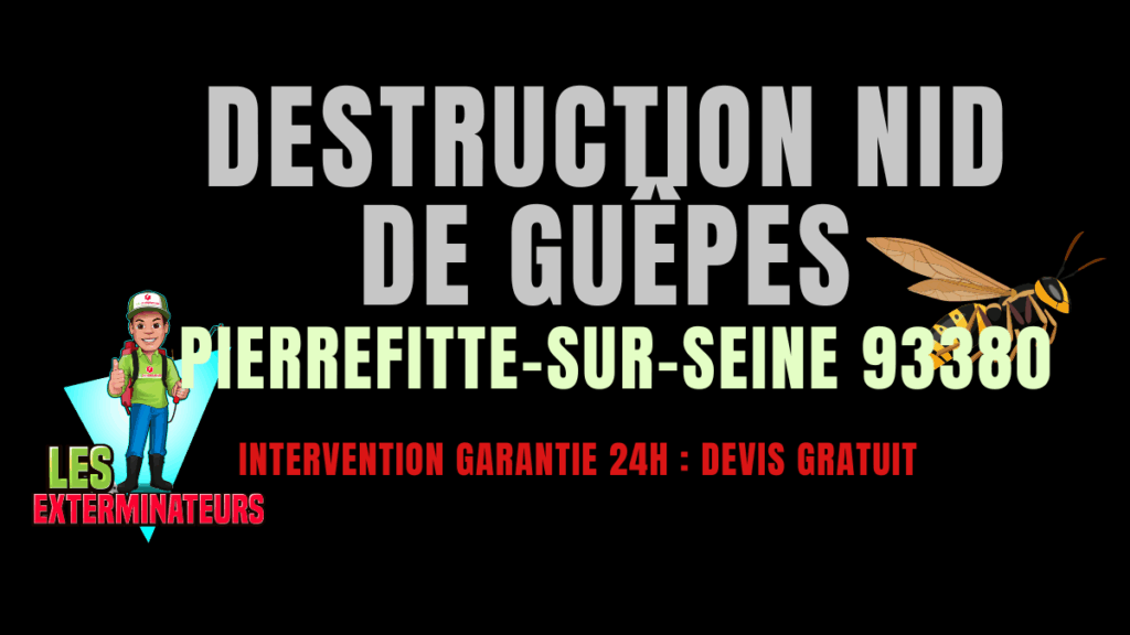 Nid de guêpes Pierrefitte-sur-Seine