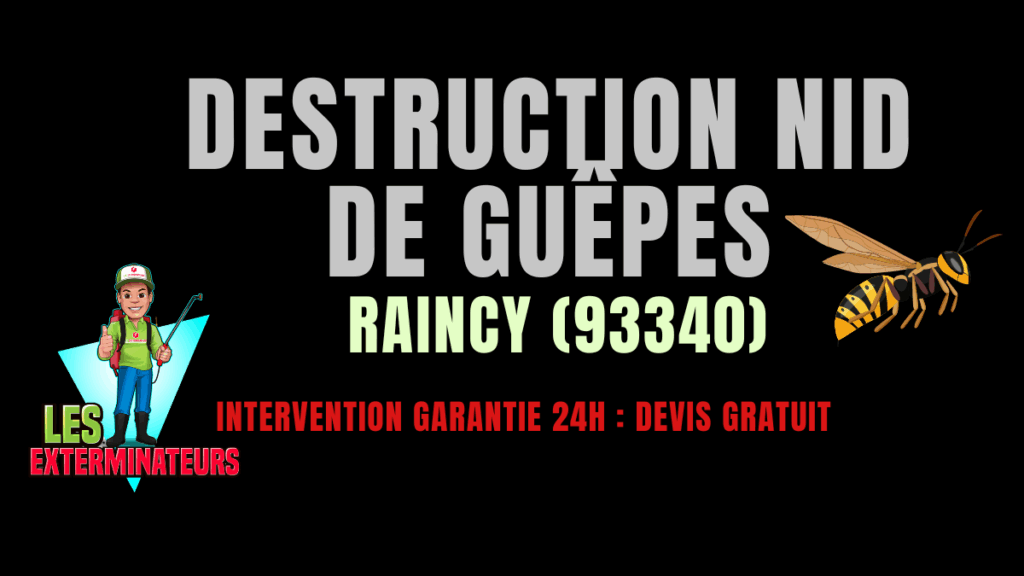 Nid de guêpes Raincy