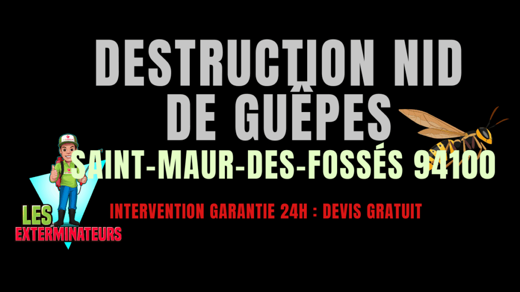 Nid de guêpes Saint-Maur-des-Fossés