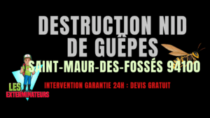 Nid de guêpes Saint-Maur-des-Fossés