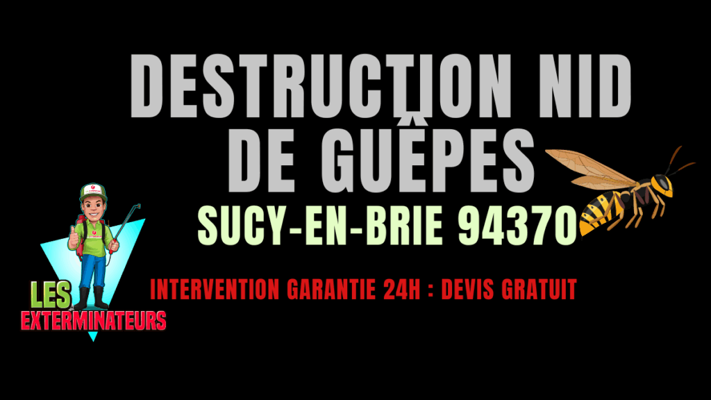 Nid de guêpes Sucy-en-Brie