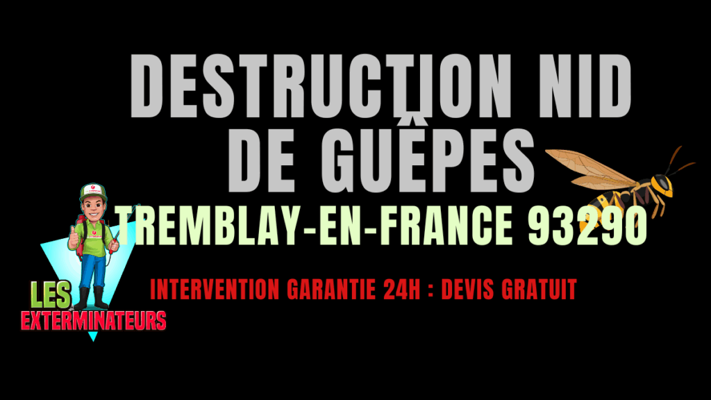 Nid de guêpes Tremblay-en-France