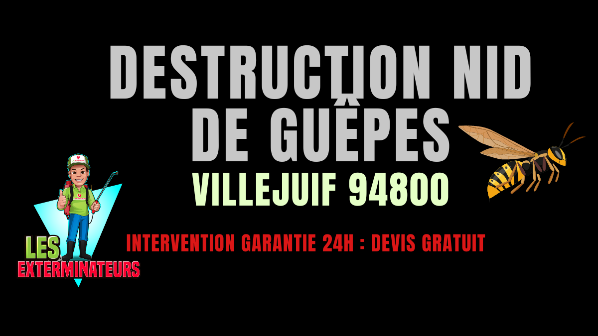 Ni de guêpes Villejuif