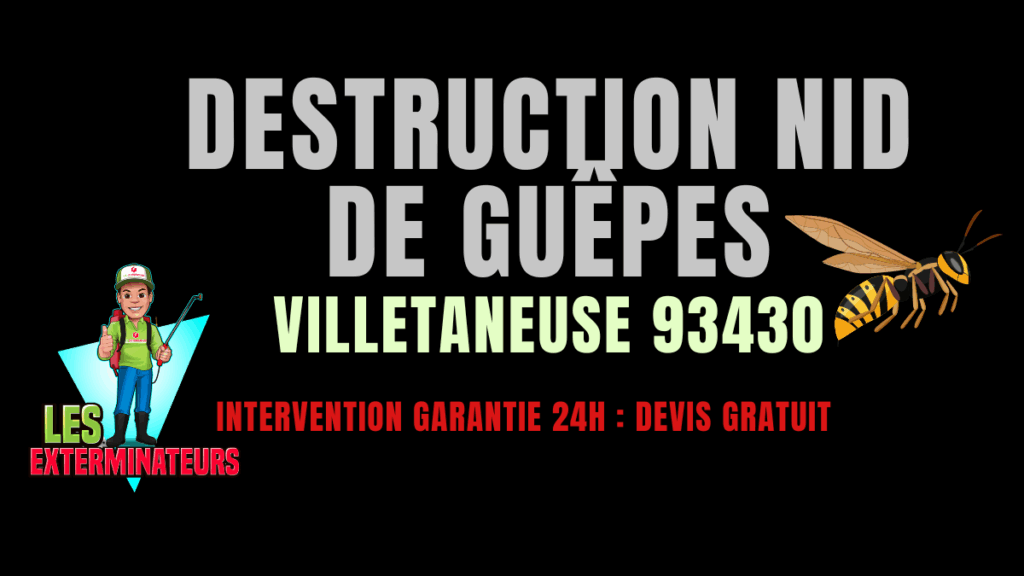 Nid de guêpes Villetaneuse