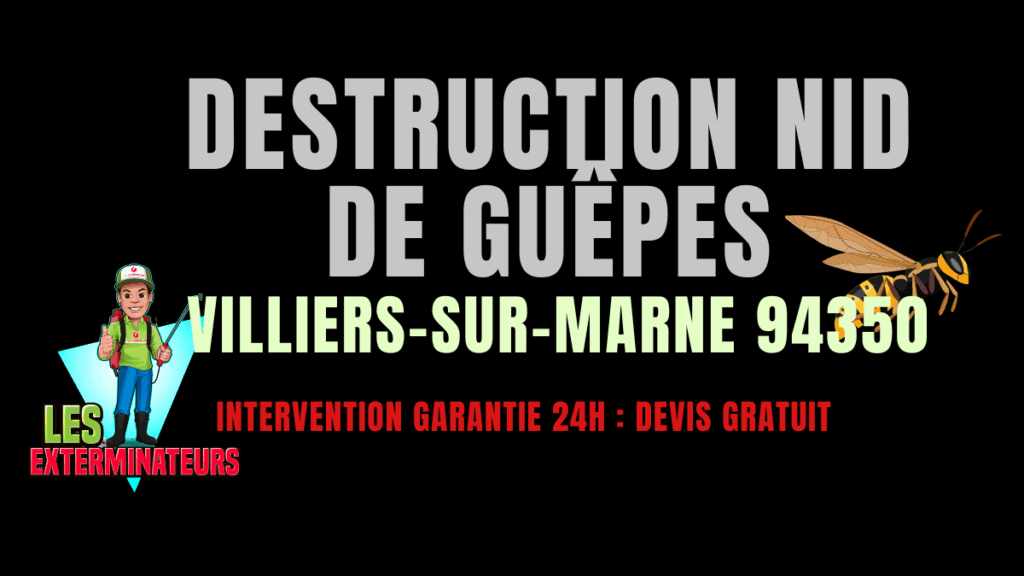 Nid de guêpes Villiers-sur-Marne