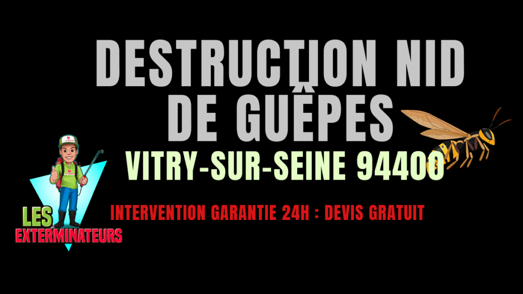 Nid de guêpes Vitry-sur-Seine