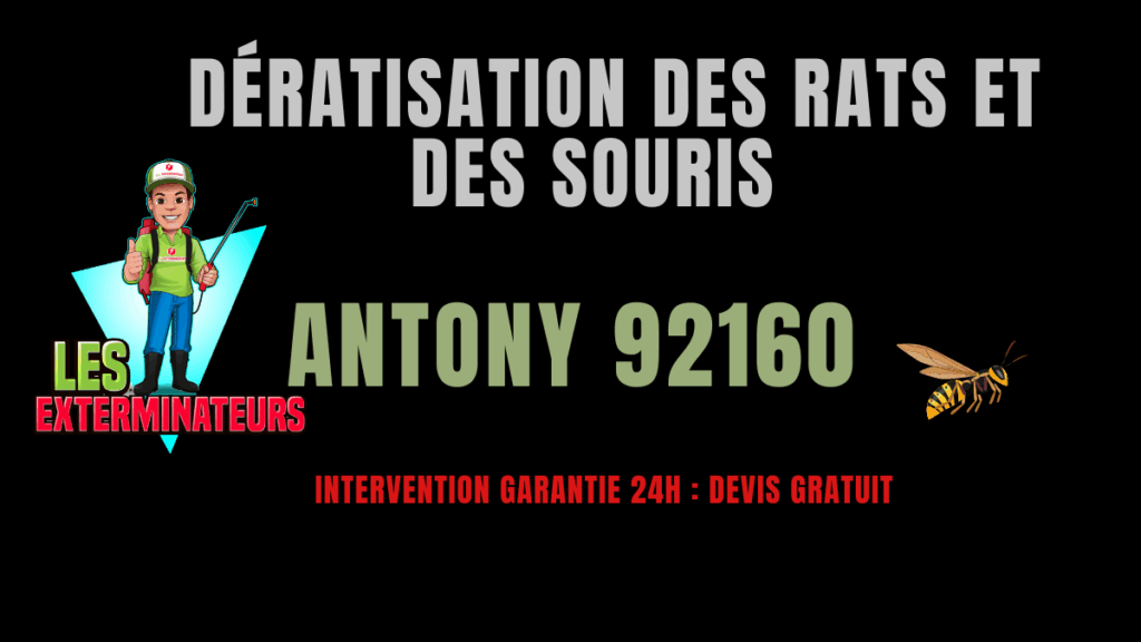 dératisation des rats et des souris antony