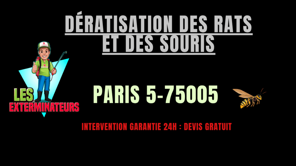 dératisation des rats et des souris paris 5