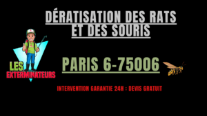 dératisation, des rats et des souris paris 6