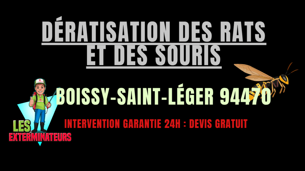Dératisation des rats et des souris Boissy-Saint-Léger