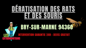 Dératisation des rats et des souris Bry-sur-Marne