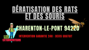 Dératisation des rats et des souris Charenton-le-Pont
