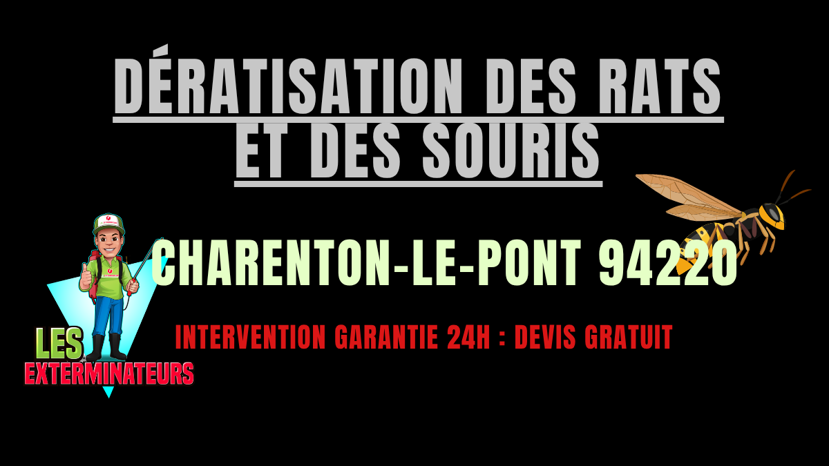 Dératisation des rats et des souris Charenton-le-Pont