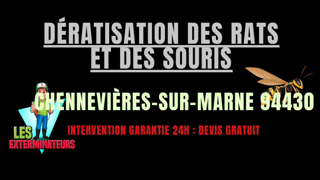 Dératisation des rats et des souris Chennevières-sur-Marne
