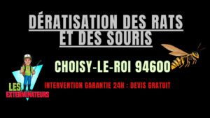 Dératisation des rats et des souris Choisy-le-Roi