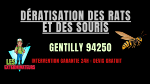 Dératisation des rats et des souris Gentilly