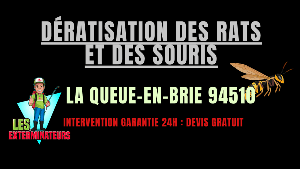 Dératisation des rats et des souris La Queue-en-Brie