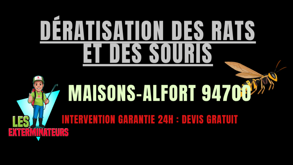 Dératisation des rats et des souris Maisons-Alfort
