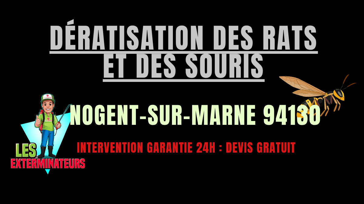 Dératisation des rats et des souris Nogent-sur-Marne