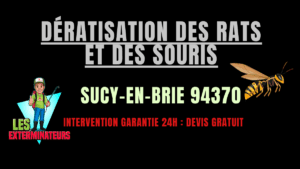 Dératisation des rats et des souris Sucy-en-Brie