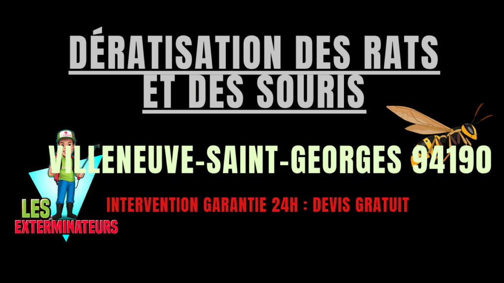 Dératisation des rats et des souris Villeneuve-Saint-Georges