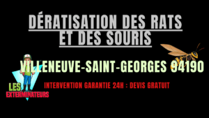 Dératisation des rats et des souris Villeneuve-Saint-Georges