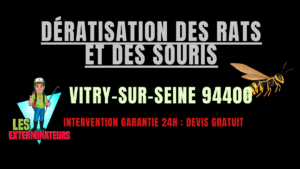 Dératisation des rats et des souris Vitry-sur-Seine
