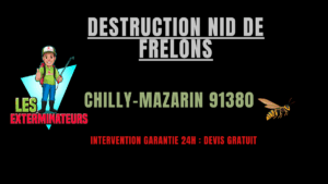 destruction nid de frelons chilly mazarin 91380