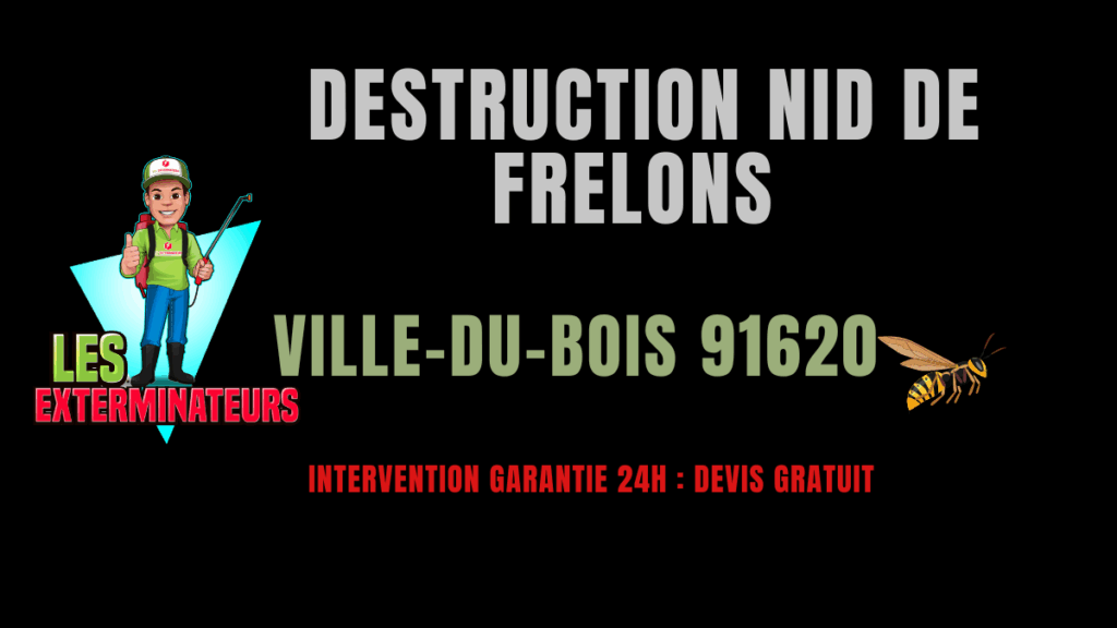 destruction nid de frelons ville-du-bois
