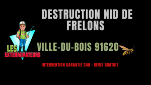 destruction nid de frelons ville-du-bois