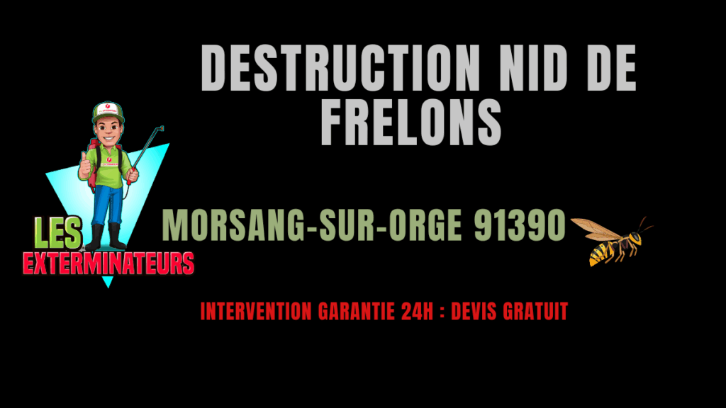 destruction nid de frelons morsang-sur-orge