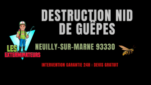destruction nid de guêpes Neuilly-sur-Marne