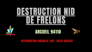 nid de frelons Arcueil