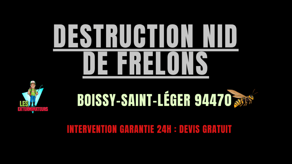 nid de frelons Boissy-Saint-Léger