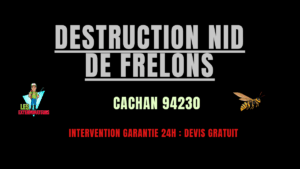 nid de frelons Cachan