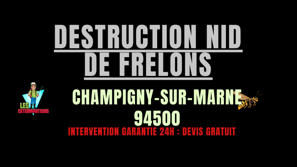 Destruction nid de frelons Champigny-sur-Marne