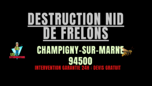 Destruction nid de frelons Champigny-sur-Marne