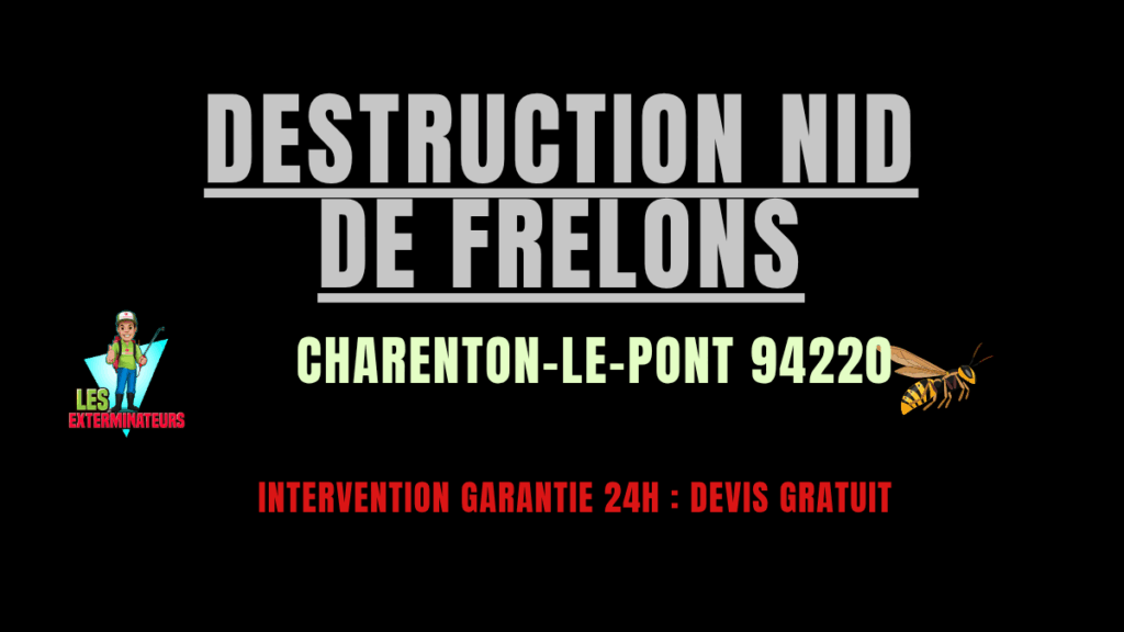 Destruction nid de frelons Charenton-le-Pont