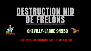 nid de frelons Chevilly-Larue