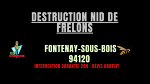 Destruction nid de frelons Fontenay-sous-Bois