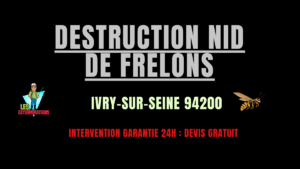 nid de frelons Ivry-sur-Seine