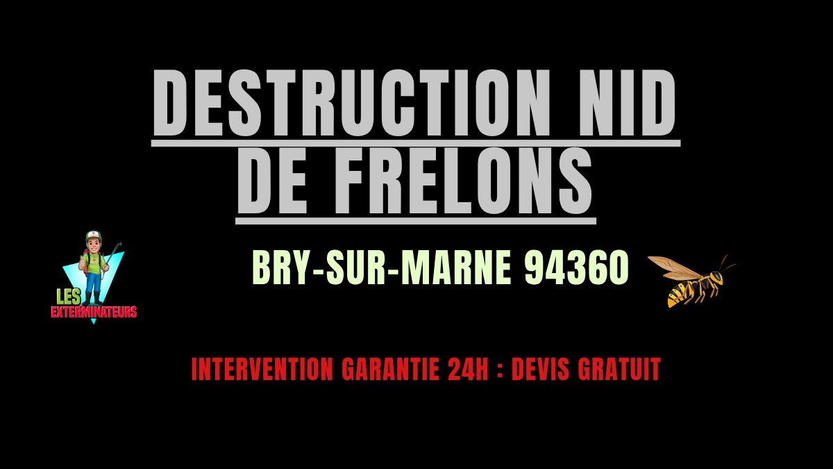 Destruction nid de frelons Bry-sur-Marne
