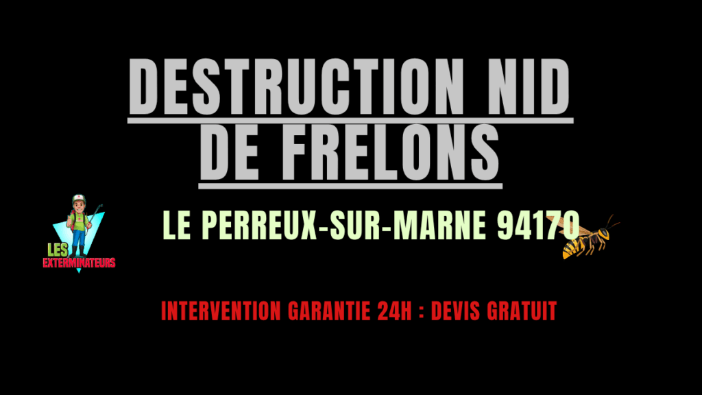 Destruction nid de frelons Le Perreux-sur-Marne