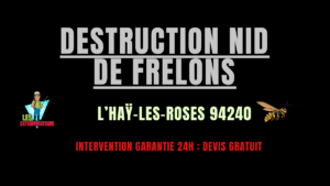 nid de frelons L’Haÿ-les-Roses