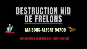 nid de frelons Maisons-Alfort
