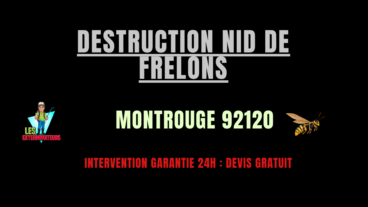 Destruction nid de frelons Montrouge