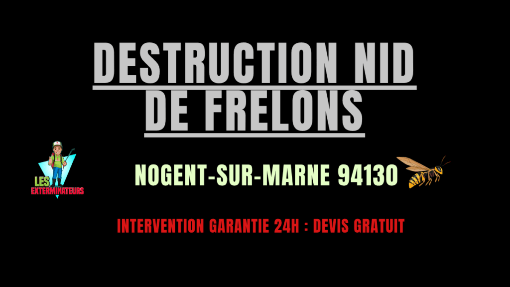 nid de frelons Nogent-sur-Marne
