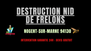 nid de frelons Nogent-sur-Marne