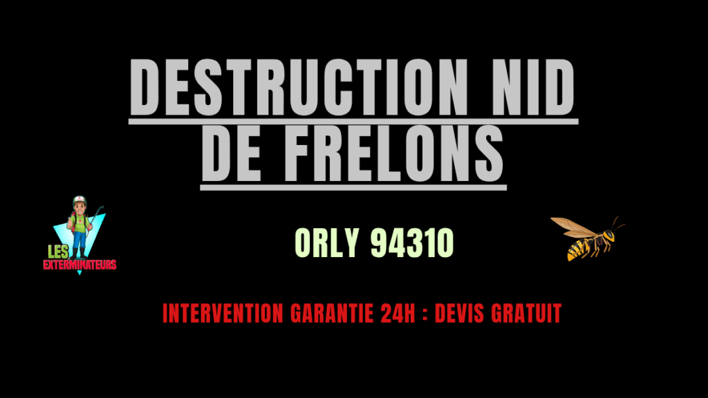 nid de frelons Orly